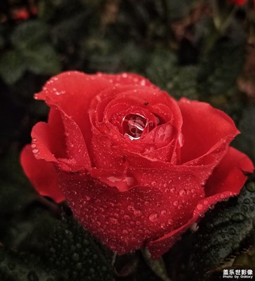 春雨潤無聲
