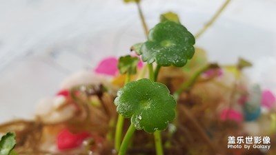 春暖花開(kāi)