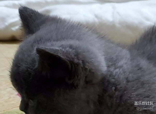 批評手上的s10+拍照！