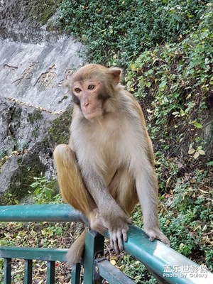 貴陽(yáng)黔靈山