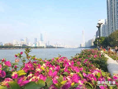 【愛上一座城】+羊城，來了就不想走