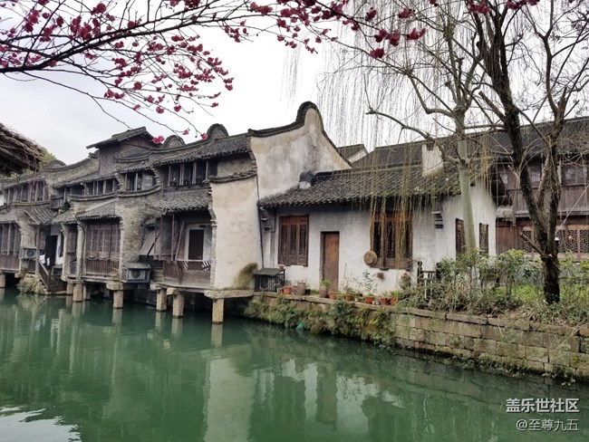 S10發(fā)布會(huì)之江南烏鎮(zhèn)——隨手拍節(jié)選