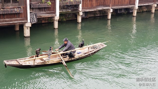 S10發(fā)布會(huì)之江南烏鎮(zhèn)——隨手拍節(jié)選