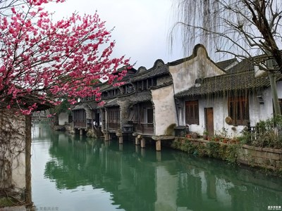 galaxyA9s【魅力烏鎮(zhèn)】+江南春來(lái)早