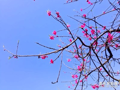 三月  你好 ??