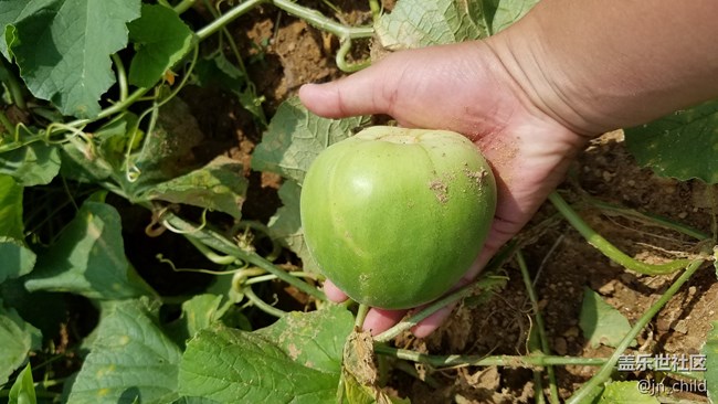 折騰了 2 天，終于成功綁定老帳號。