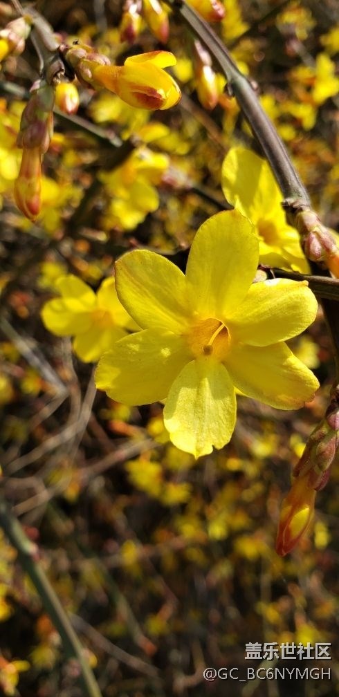 s10 ＋不愧是安卓機(jī)皇