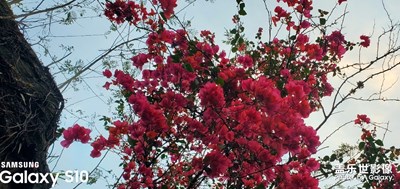 Galaxy S10+，攝影中的美中之美