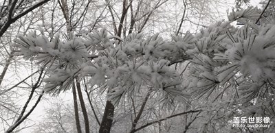 隨拍雪景
