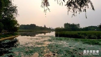 【時光】+ 回憶很美好