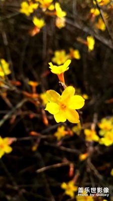 春天來了…………