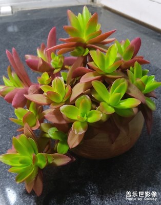 又到春醒肉美時