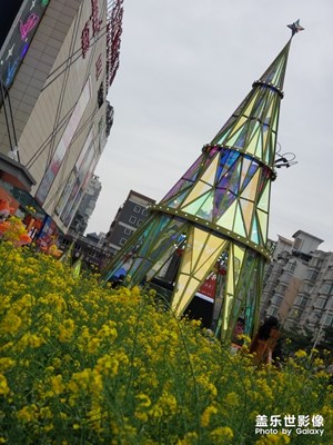 花田