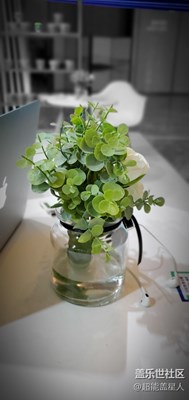 來試試s10的實(shí)時(shí)虛化效果