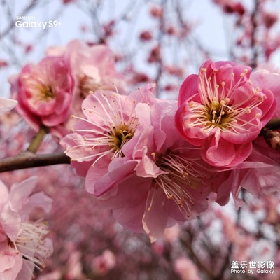 春天的氣息