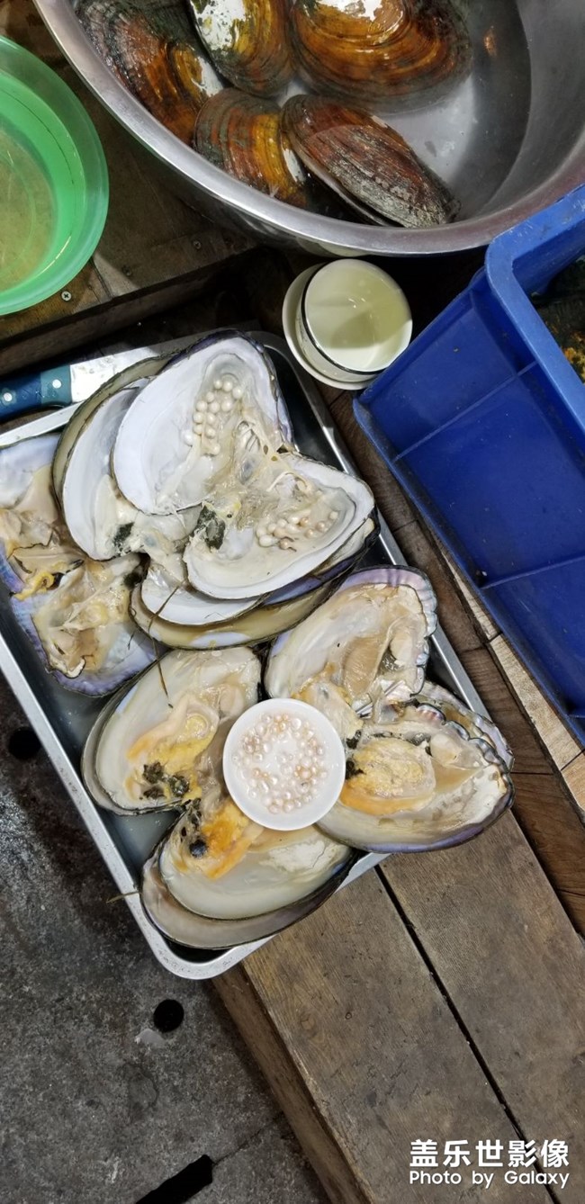 美食
