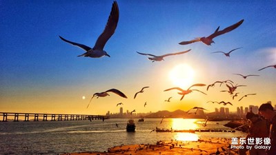 【踏春】+ 海貝魚躍鳥梭飛，晚霞紅海騰日魂。