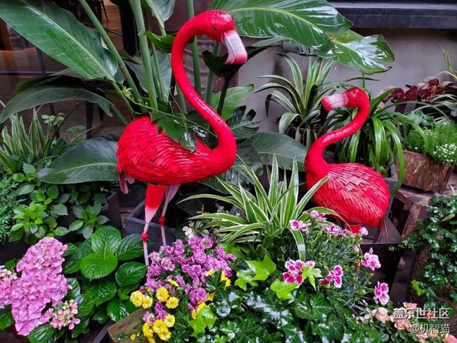 三星Galaxy S10+深度體驗：足以證明三星回歸中國市場的野心