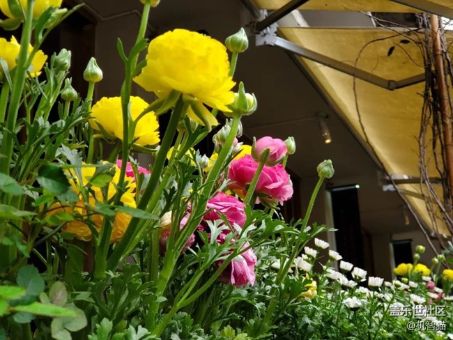 三星Galaxy S10+深度體驗：足以證明三星回歸中國市場的野心