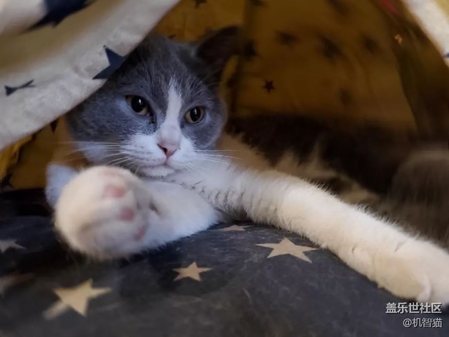 三星Galaxy S10+深度體驗：足以證明三星回歸中國市場的野心