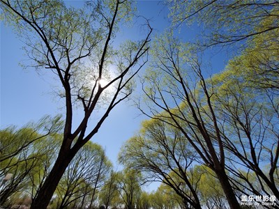春風(fēng)十里