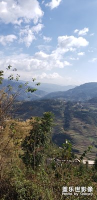 梯田