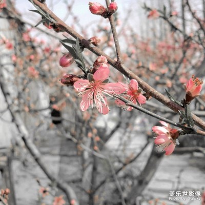 以后再遇見你，請(qǐng)說你好