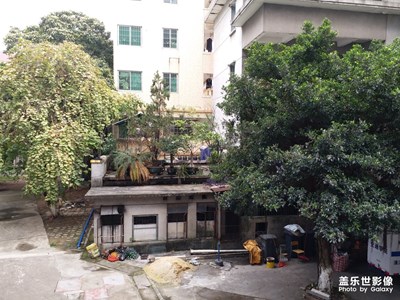 【風(fēng)光之美】+庭中之美