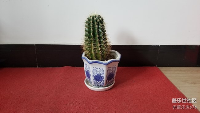 S10拍照翻車(chē)有多嚴(yán)重 想知道的請(qǐng)進(jìn)S10+成像完全被Note8壓制