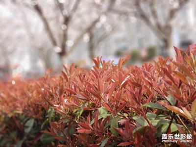路邊的景色，停下來也很美