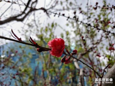 【風(fēng)光之美】+ Galaxy 10+隨手拍