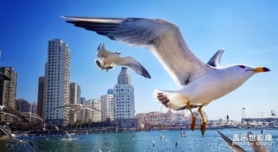 奔騰依舊，*無限。