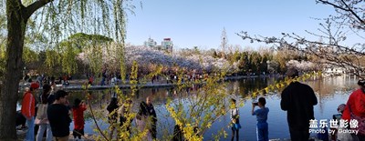 玉淵潭公園