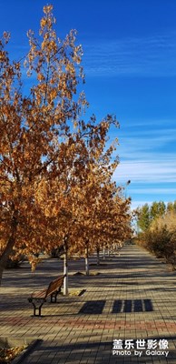 【風(fēng)光之美】+生活中的風(fēng)景