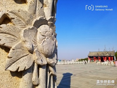 半山坡的風(fēng)景