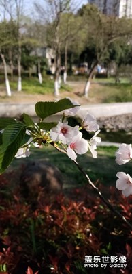 note9
