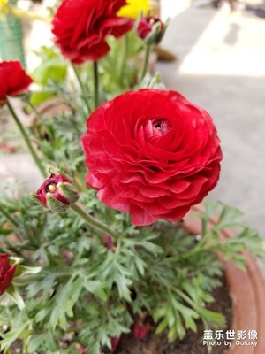 生活隨拍，故鄉(xiāng)又回來了