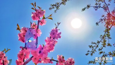 【四月你好】+春天來(lái)了