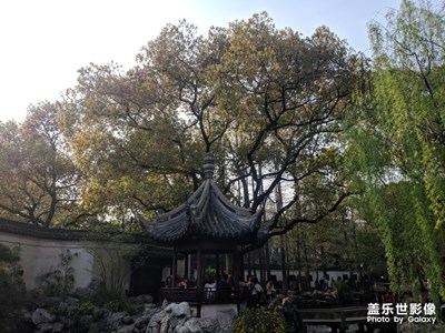 上海 豫園 游玩一