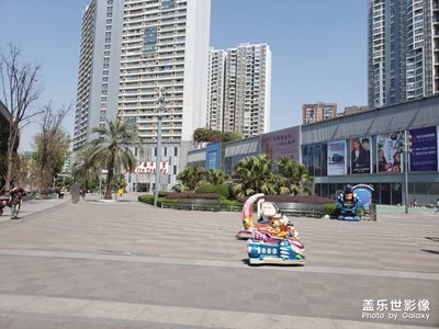 假日隨拍