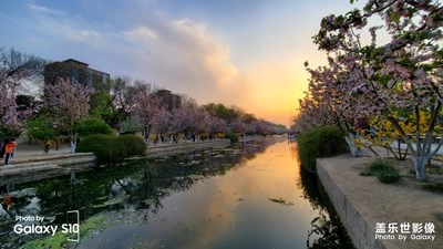 Galaxy S10遇見(jiàn)海棠花溪