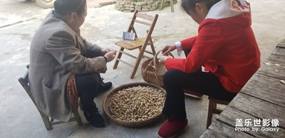 生活，