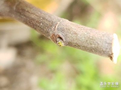 熬過了冬天，你終于發(fā)芽了