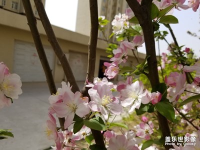 小區(qū)美景