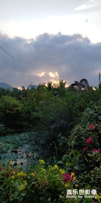 今早的風(fēng)云