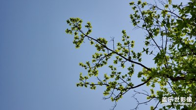 陽(yáng)光的味道-春天、綠色、陽(yáng)光