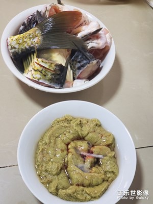 來啊，一起釣魚哇