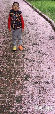 A系列定位在哪里？！