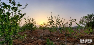 【陽光的味道】+小區(qū)夕陽隨拍