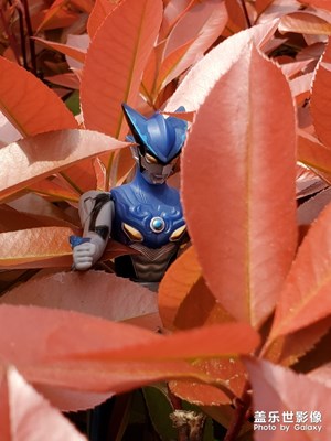 散個步，呼個吸